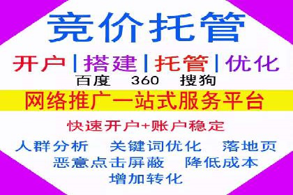 SEM推广优化策略：成功案例解析